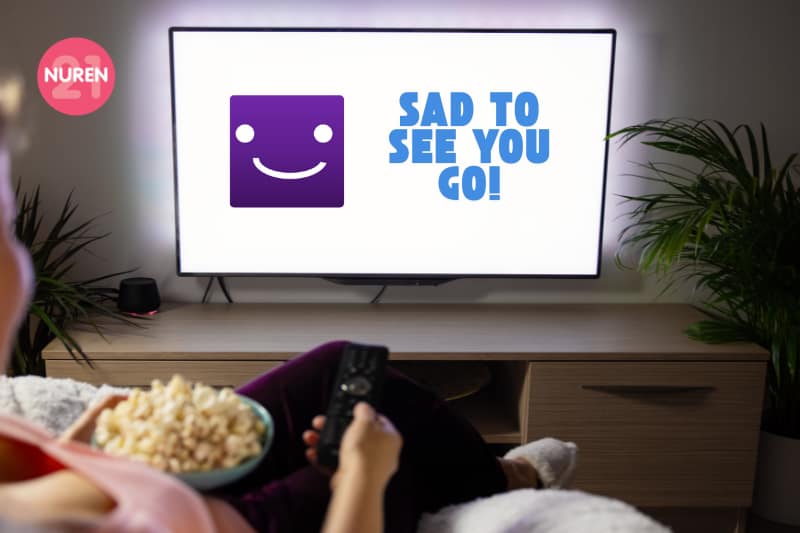 image of tv showing unsubscribe from Netflix Disney+ hulu prime youtube. 